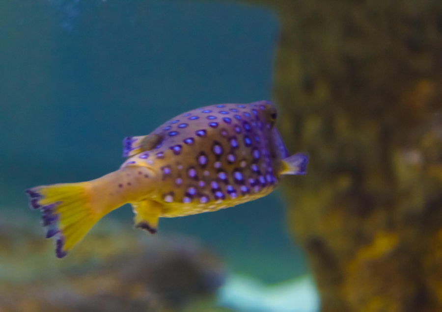 _DSC0796rr