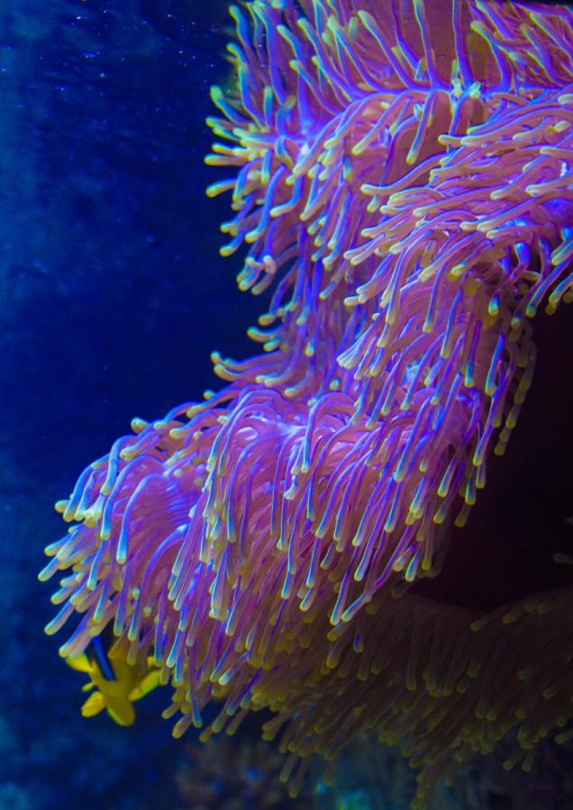 _DSC0864rr